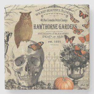 Modern vintage Halloween uggla och skalle Stenunderlägg