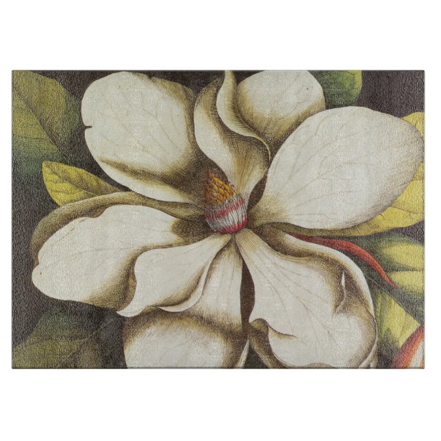 modern vintage magnolia (Framsidan)
