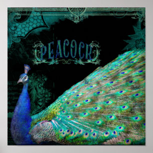 Modern Vintage Peacock Elegant Wall Art Side View Poster