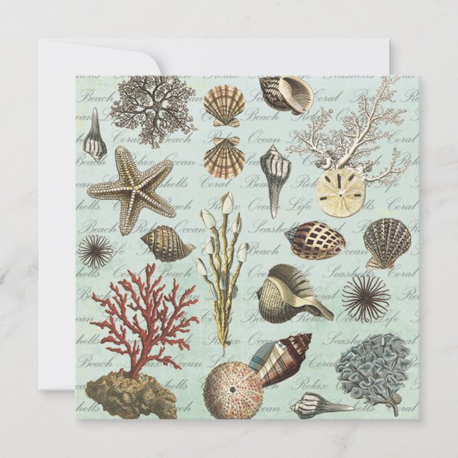 Modern Vintage Seashells (Framsida)