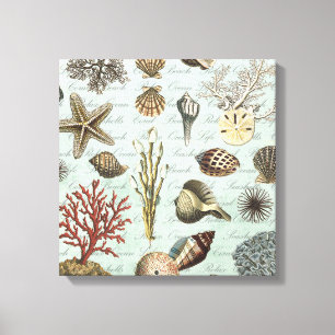 Modern Vintage Seashells Canvastryck