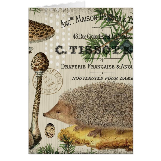 modern vintageskogsmarkigelkott hälsningskort (Framsidan)