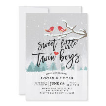 Modern Vinter Baby Shower Sweet Little Twin Boys