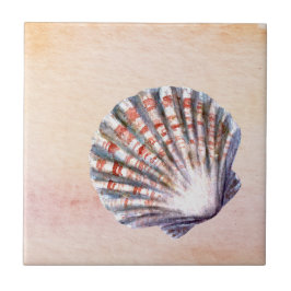 Modern watercolor background Seashell Painting Kakelplatta