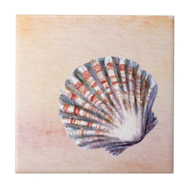Modern watercolor background Seashell Painting Kakelplatta (Framsidan)