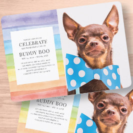 Modern Watercolor Rainbow Rand Pet Memorial Inbjudningar