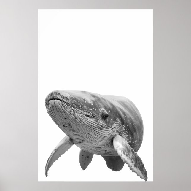 Modern Whale Porträtt svart vit Poster (Framsidan)