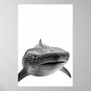 Modern Whale Shark Porträtt svart vit Poster