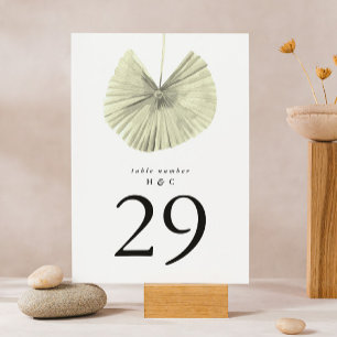 Modern White Pampas Grass Jungle Bordsnummer