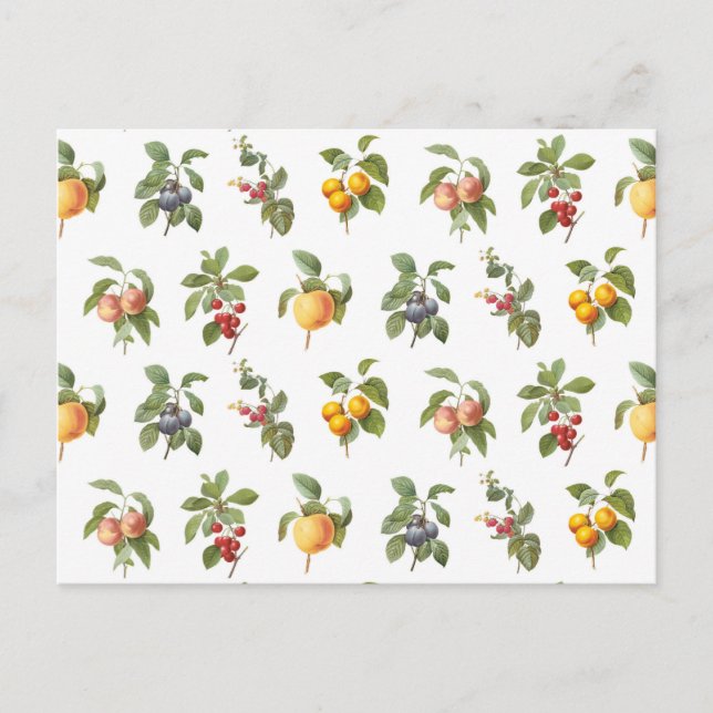 moderna botaniska frukter av vintage vykort (Framsida)