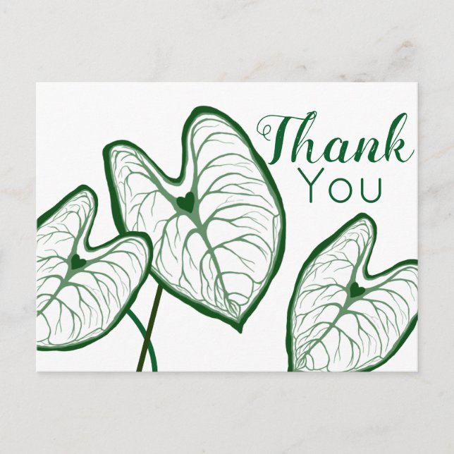 Moderna Caladium-växter Tack Vykort (Framsida)