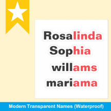 Moderna genomskinliga vattentäta namnstickers