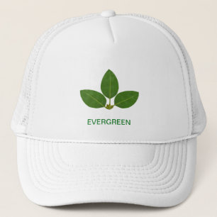 Moderna gröna lagerblad keps