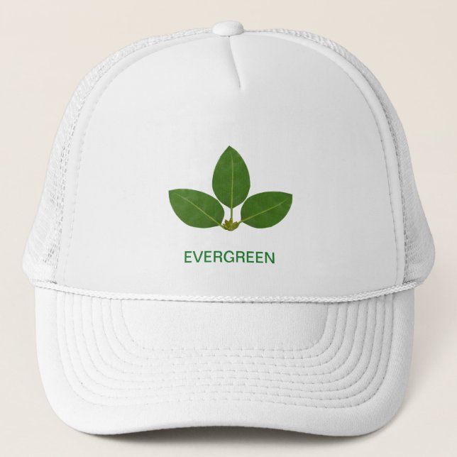 Moderna gröna lagerblad keps (Framsida)