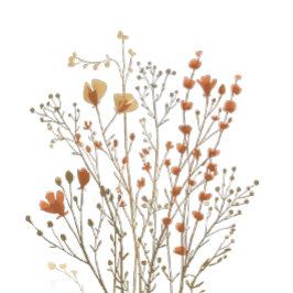 Moderna jordtonsabstrakta botaniska grenar t shirt