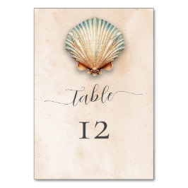Moderna Kustnära Snigelskal Sand Bröllop Bordsnummer