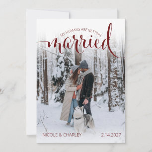 Moderna Människor som Gifter sig Husdjur Foto Förl Spara Datumet