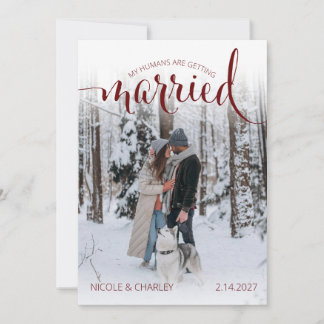 Moderna Människor som Gifter sig Husdjur Foto Förl Spara Datumet