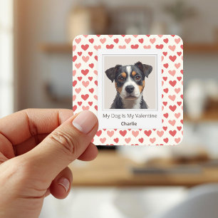 Moderna personliga hundvalentin-klistermärken fyrkantigt klistermärke