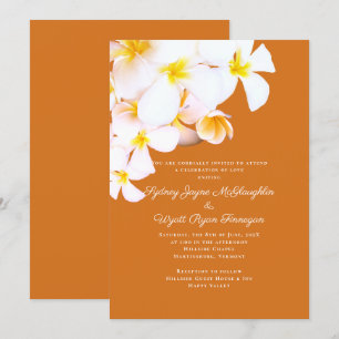 Moderna Plumeria Hawaiianska Blommor Orange Bröllo Inbjudningar