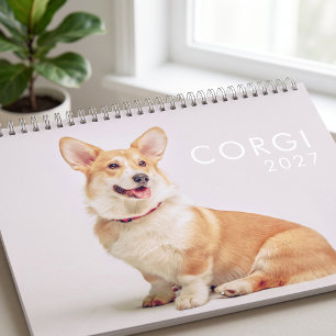 Moderna söta roliga Corgi hundar foton Kalender