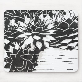 Moderna succuls Plants Musmatta