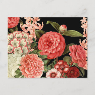 moderna vintage botaniska rosa blommor vykort