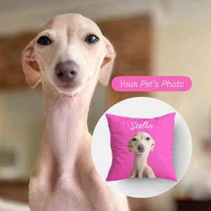 Modernt husdjur Foto + Namn   Hundpappa Kattmamma  Kudde