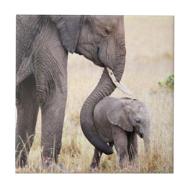 Modernt kärlek kakelplatta (Framsidan)