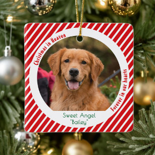 Modernt minnesföremål för husdjur Hund Foto Jul Julgransprydnad Keramik