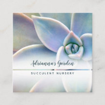 Modernt minsta suckulent växtbarnkammarefoto