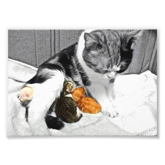 Moderskap Fototryck (Framsidan)