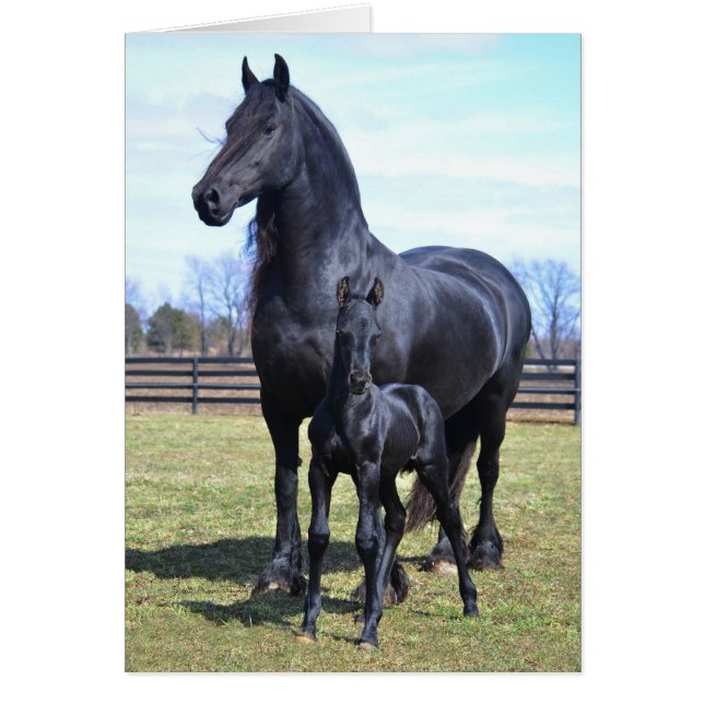 Moderskap Hälsningskort (Framsidan)