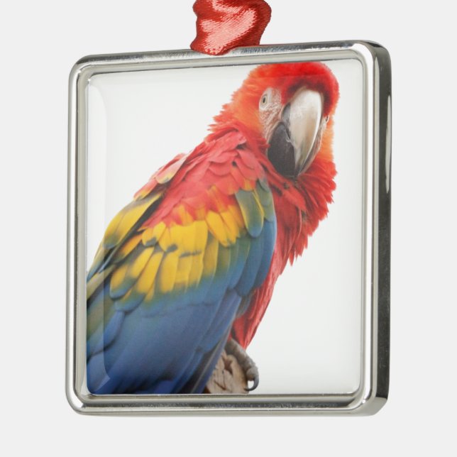 Modet Tropiskt färglöst Macaw Chic Classy- Julgransprydnad Metall (Vänster)