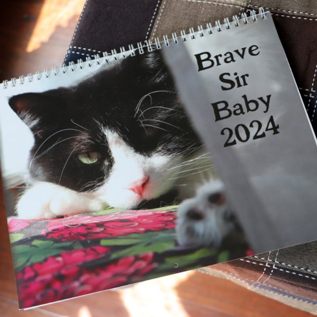 Modiga Herr Baby Kalender (Skapare uppladdad)