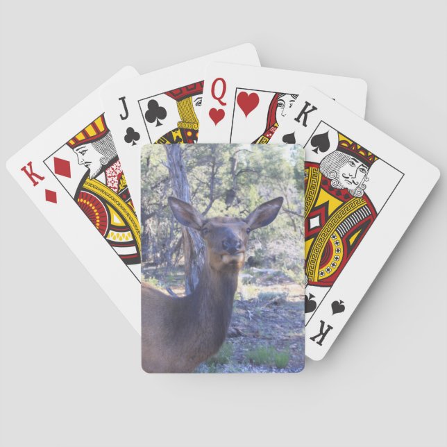Modiga uppspelningskort casinokort (Baksidan)