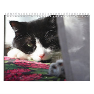 Modige Sir Baby Kalender