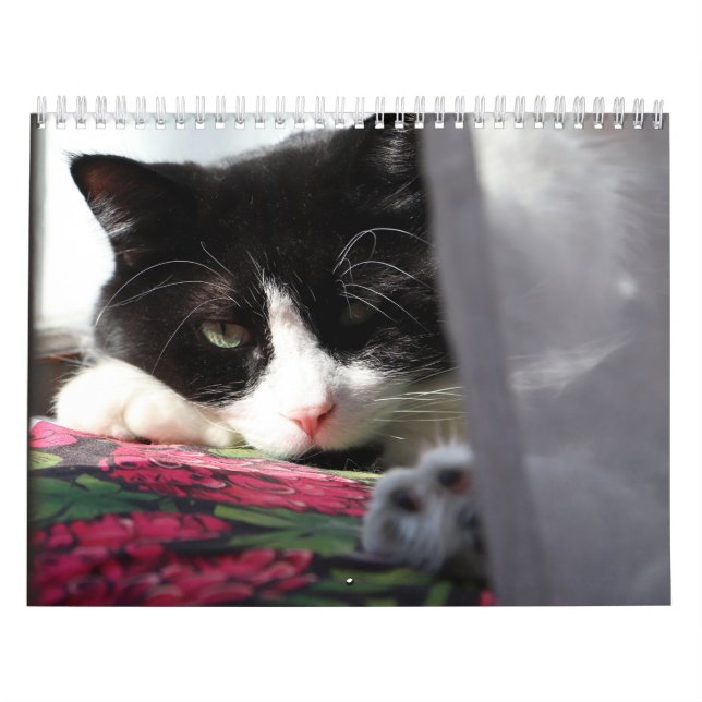 Modige Sir Baby Kalender (Omslag)