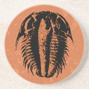Modocia Typicalis fossil Trilobite Underlägg Sandsten