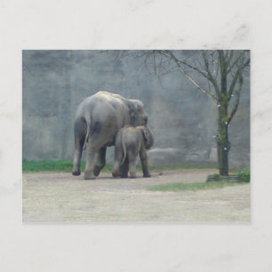Mödrar Kärlek Elephant Postcard Vykort