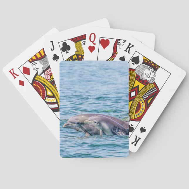 Mödrarkärlekdelfin & baby som leker kort spel kort (Baksidan)