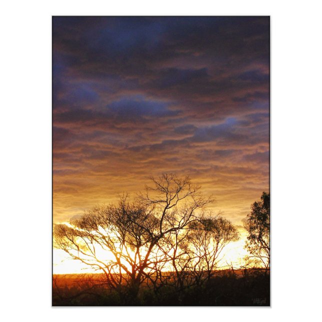 Modscapes: Living Art Photo Fototryck (Framsidan)