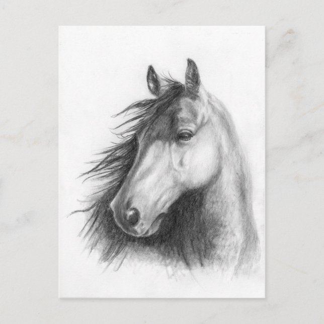 Moe-postkortet Morgan porträtt Vykort (Framsida)