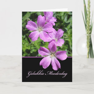 Moederdag, Mors dag på nederländska, Violet Gerani Kort