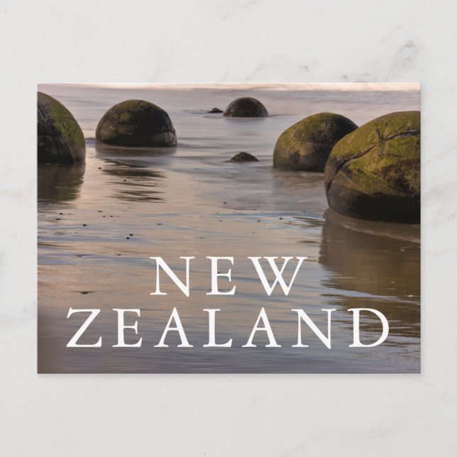 Moeraki stenar på stranden vykort (Framsida)