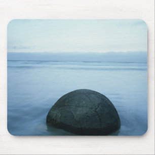 Moeraki stenblock musmatta