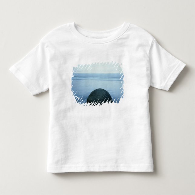Moeraki stenblock t shirt (Framsida)