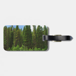 Moffat Road Gräs Träd Colorado Bagagebricka