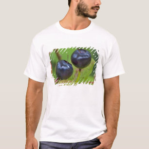 Mogna blåbär i Flathead National 2 T-shirt