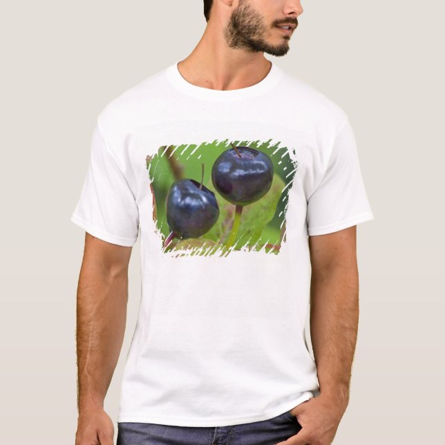Mogna blåbär i Flathead National 2 T-shirt (Framsida)
